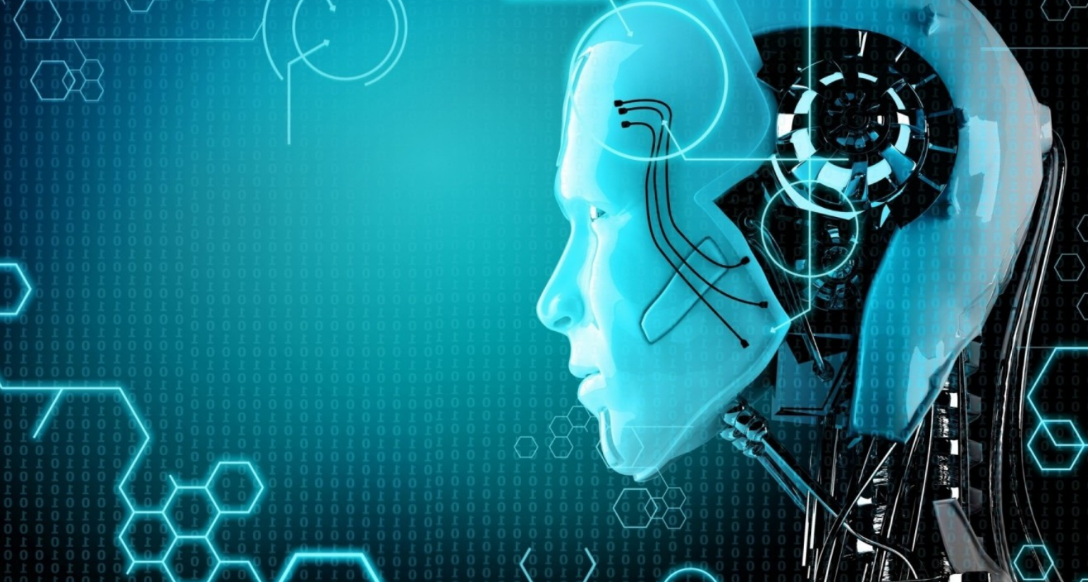 蛋白质 寿命又短的生物，需要做的就是孵化超级ai，让ai去探索宇宙