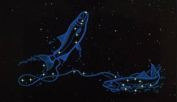 王者情感语录|善解人意的双鱼座女生,期待浪漫的爱情,给对方无限的信任