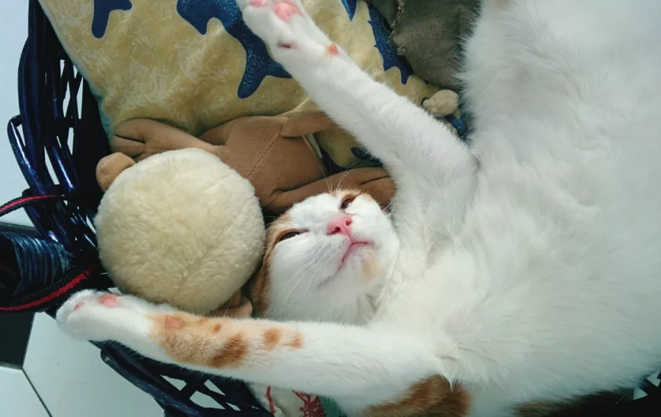 运动|健康的7大准则,做到2个就很厉害