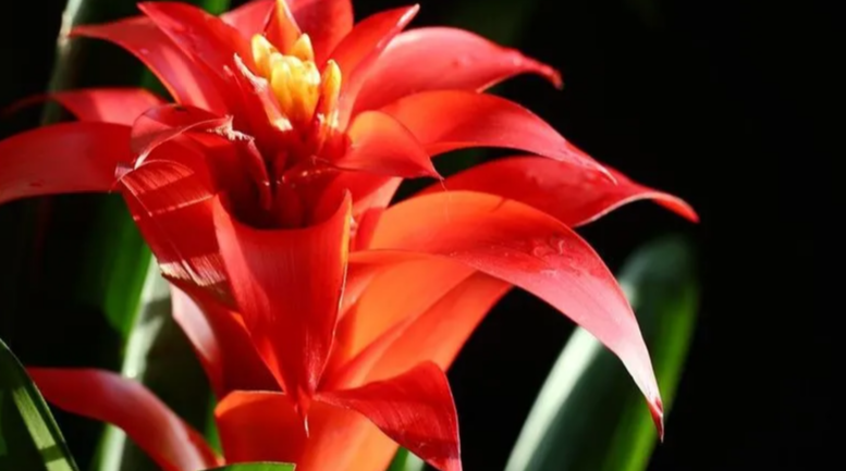 玄风八字运势 2022壬寅年有不菲的经济收入