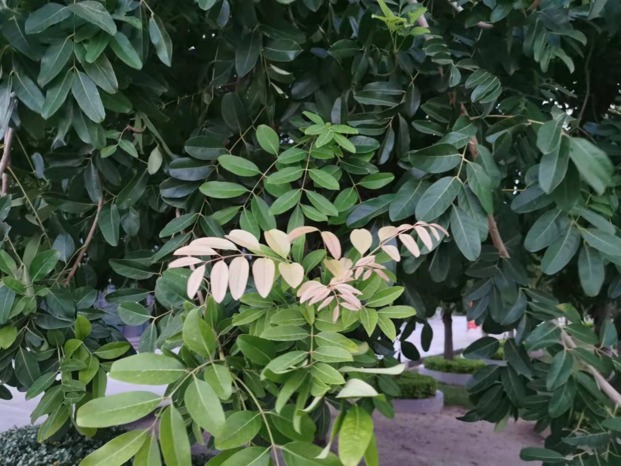 小道玄 内心很强大，可以忍受孤独，百毒不侵的星座