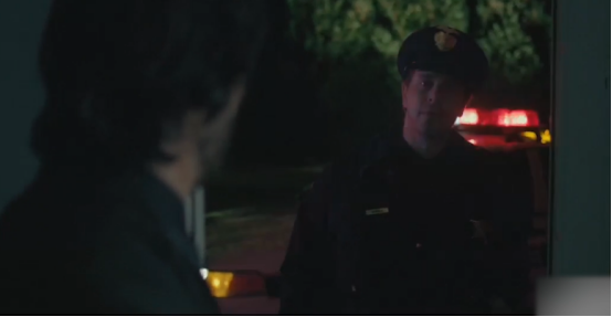 金泰妍|这部电影讲述了职业杀手怎么一步步为自己的爱狗报仇