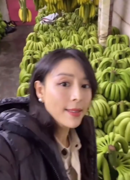 蒋雯丽|张静初隔了10天发文,仍被声讨!连蒋雯丽也被请出来助攻了?