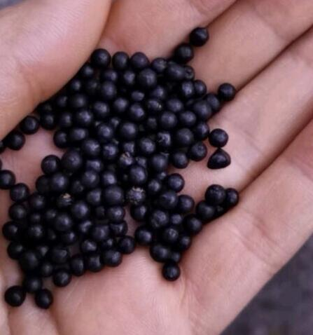 用药指南|药店不愿告诉你的6样宝，收好不亏，全家适用，受益一生