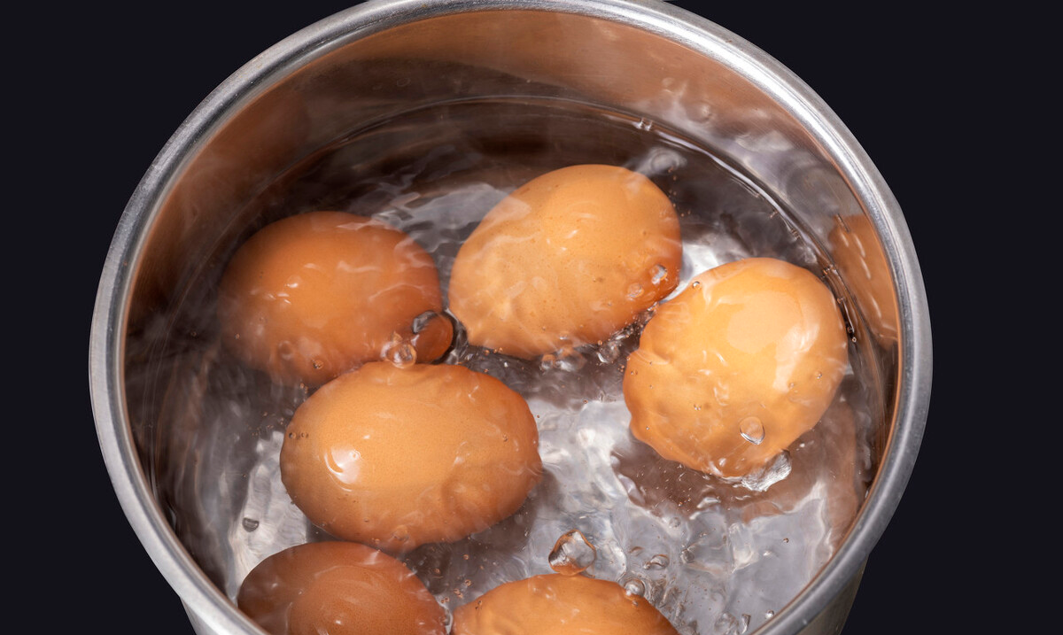 育学笔谈 女校长发表“熟鸡蛋孵小鸡”论文,网友发问:煮熟的鸭子能飞吗?