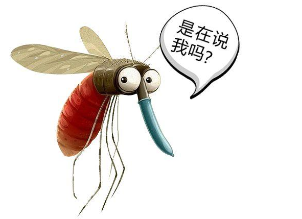 火山 蚊子的爱情