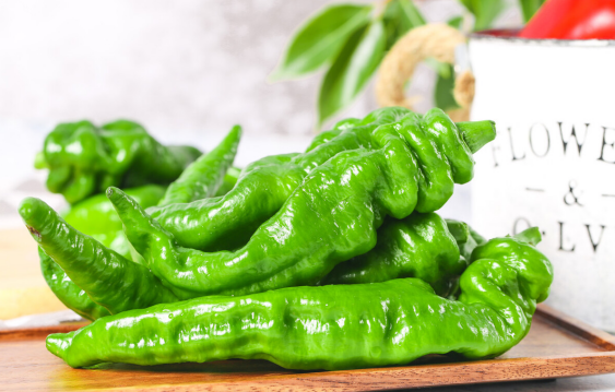 黄瓜|三伏天吃一口等于8斤黄瓜,乳腺外科医生:乳腺结节患者不妨多吃