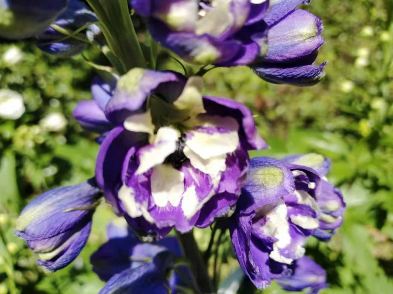 奋发的团子|生命中的每一次遇见，都应该被好好珍惜！