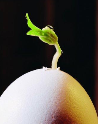 生物科学和生物技术两个专业的区别你知道吗?