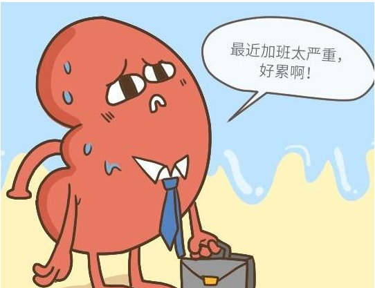 尿酸|尿酸过高只知道吃药？还有这几点，都可以无副作用降尿酸