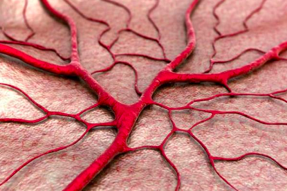 天天听健康|血管发出的“求救信号”！连医生也不敢小觑，若是忽视它你就完了