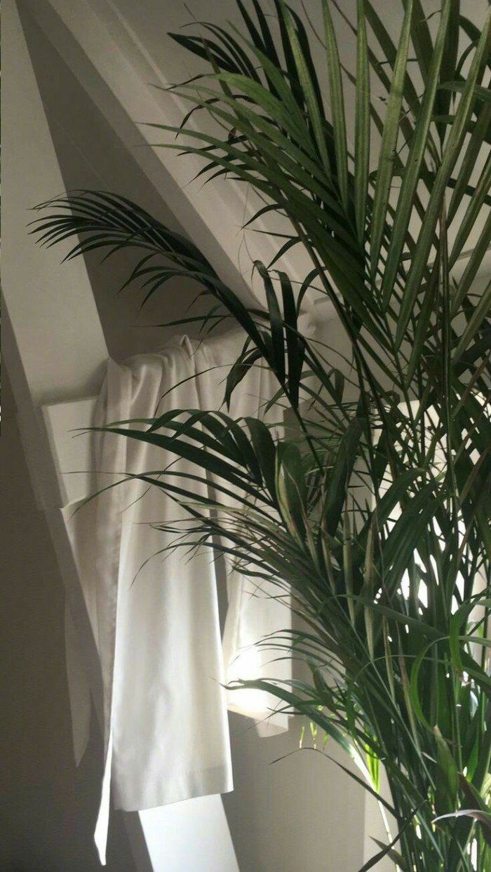 |12星座中，才华横溢的3个星座，财运也非常不错