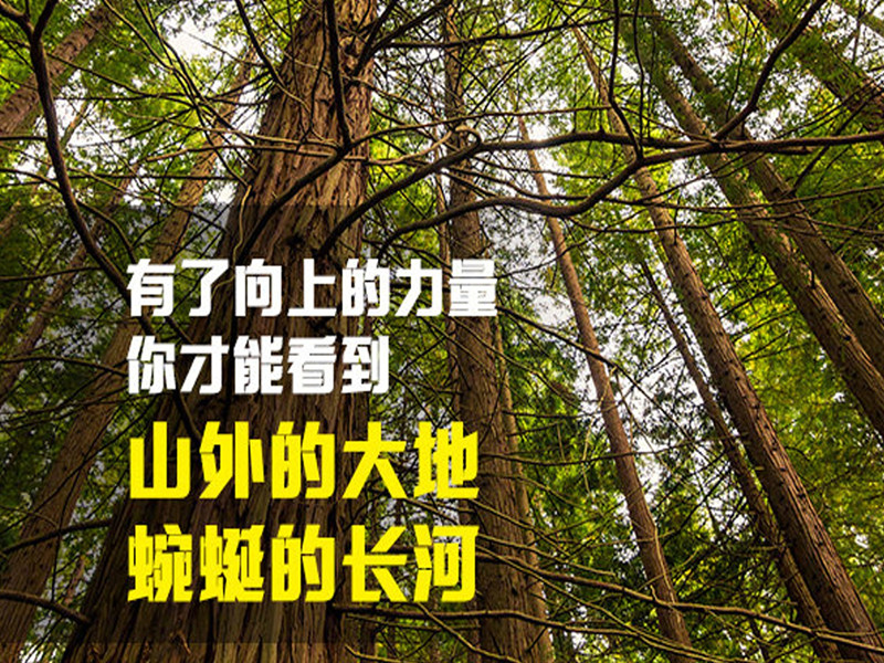 何菲|喜欢小公主，追随小公主，宠爱小公主，8年后，觉得亏本，欲出轨！