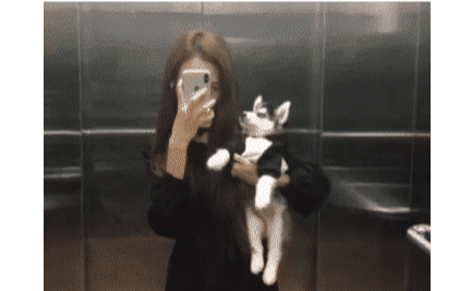 动物庄园|外国网友：“我买了一条挂画，大家帮我看看上面写的是什么意思呀？”