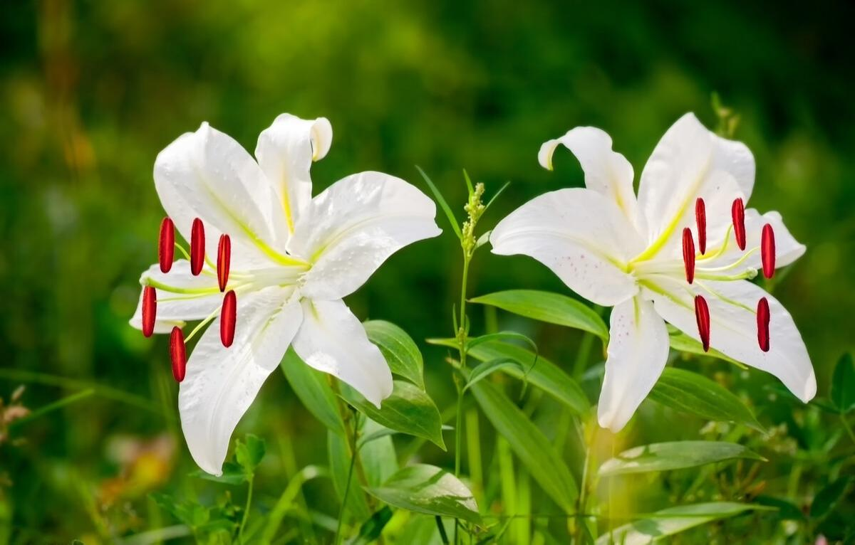 维生素B|喝一口等于2斤白酒,很多人天天喝,肾内科医生:常喝相当“自残”