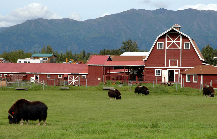 15个你不知道的冷知识,冲水的时候要不要盖马桶?