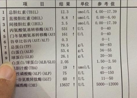 白血病|得了脂肪肝，靠吃“素”就能好？医生：“逆转”脂肪肝，2点很重要
