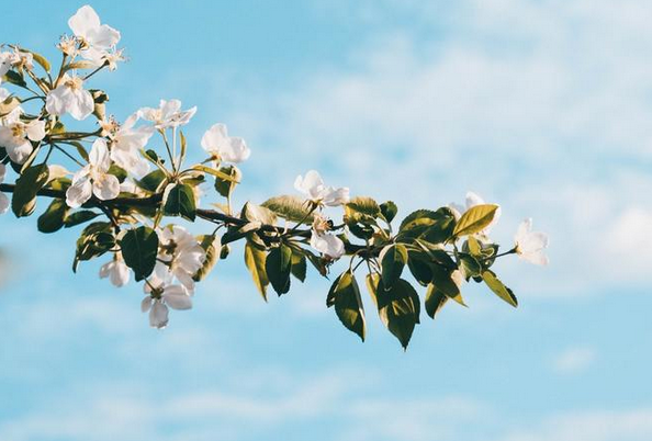 周杰伦|周杰伦音乐里的绝美歌词