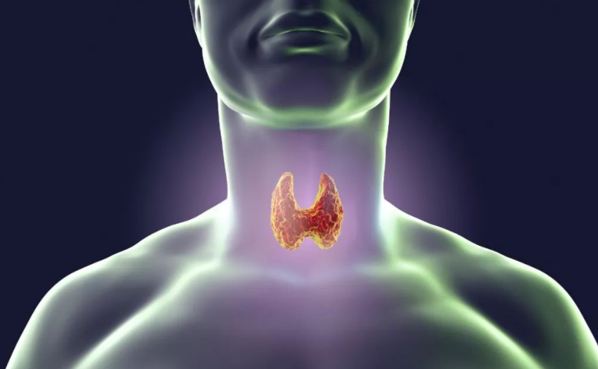 大脑|48岁大姐，3个月甲状腺结节，好转如初，甲乳科医生：吃它就对了