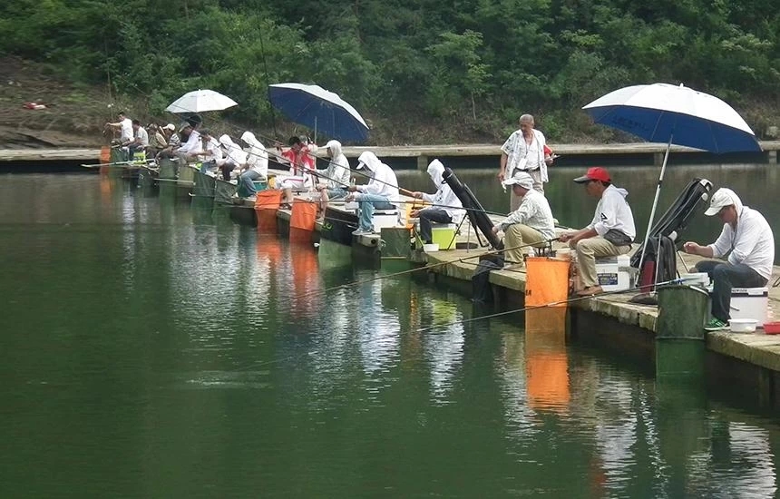 饵料|衣带渐宽终不悔 为鱼消得人憔悴