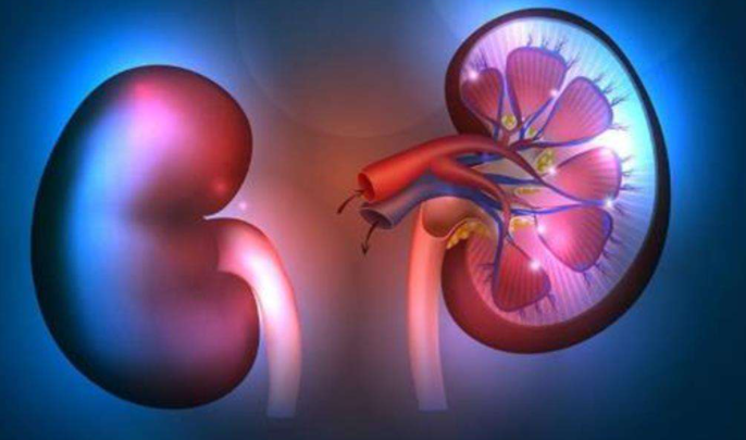 淋巴瘤|肾衰“敲门”时，身体或会亮起“4个红灯”，望你早发现，早治疗