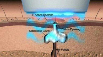 好物官|佟丽娅主持晚会状态好，除了主持功力，还应该夸夸她的好皮肤