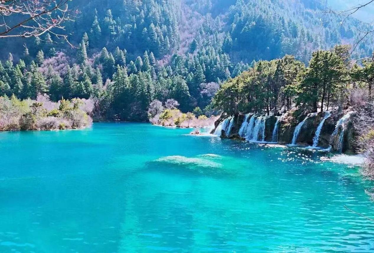 京东|影响自媒体视频的播放量的几点因素你知道吗?