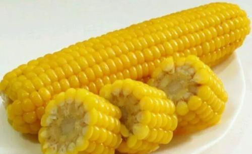 玉米|鲜玉米发酵方法有什么?