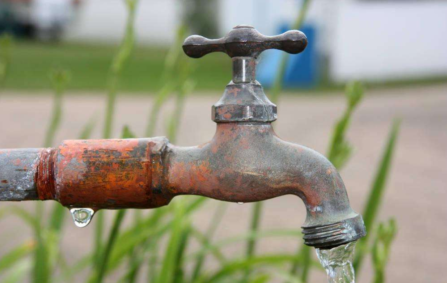 高血脂|不想脑血管硬化,多吃“两碗粥”,常喝一种水,血管健康,长寿来