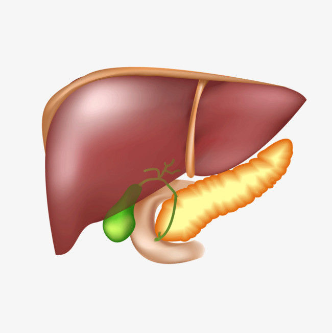 医线天|肝不好的人，从手指能看到蛛丝马迹，有3处异常不要大意
