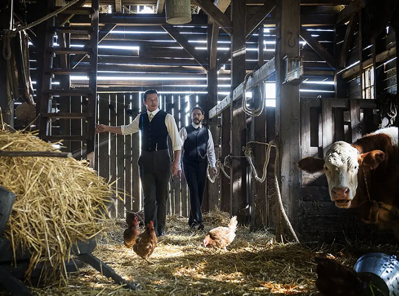 整容|像这样的悬疑剧，请给我来一打，足够凶残才能带给观众刺激！