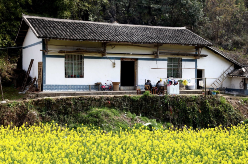 情感事业健康|阳宅风水口诀——家居大格局的避忌