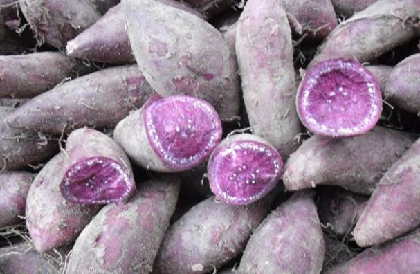 红枣|87岁皮肤医生提醒女性:3种食物被称为皱纹“加速剂”,管住嘴