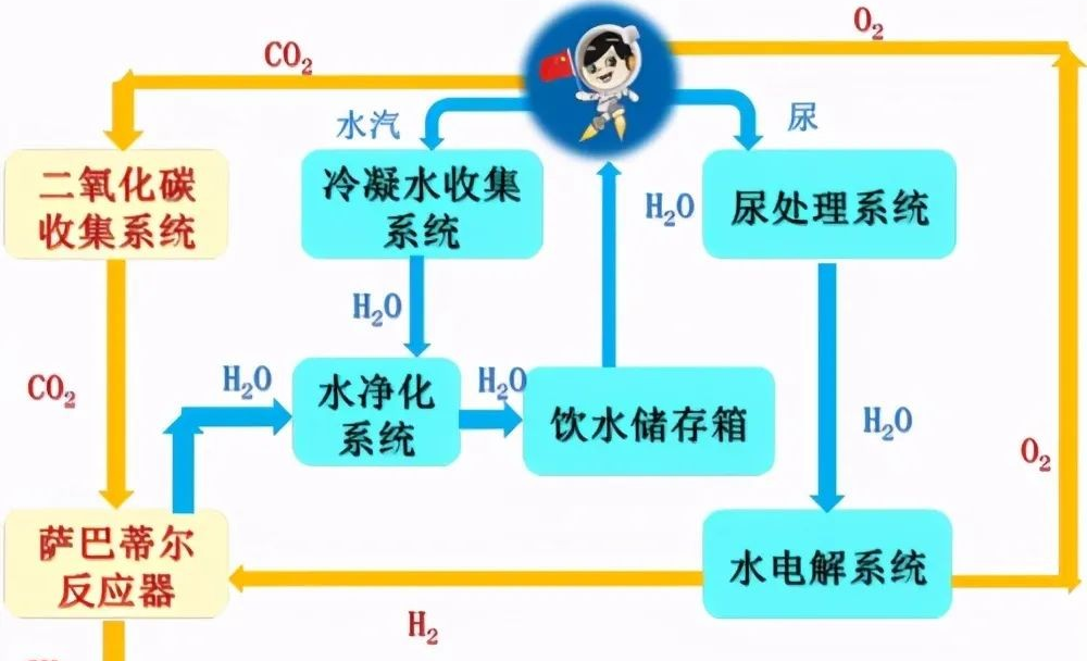 中国空间站航天员尿液收集处理达标后,不再饮用!但另有重要用途