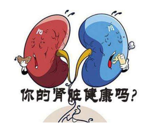 红薯|31岁男子经常养肾，却不幸肾衰离世，医生叹息：这1家常菜是肾衰“祸根”