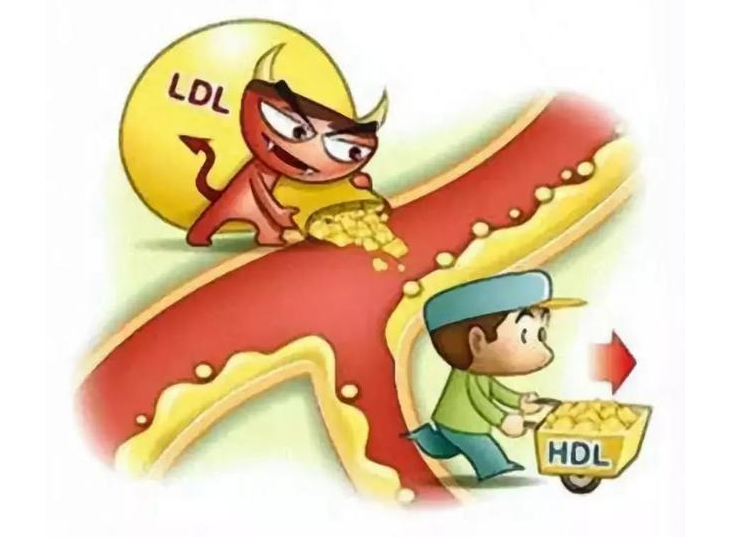 白血病|得了脂肪肝，靠吃“素”就能好？医生：“逆转”脂肪肝，2点很重要