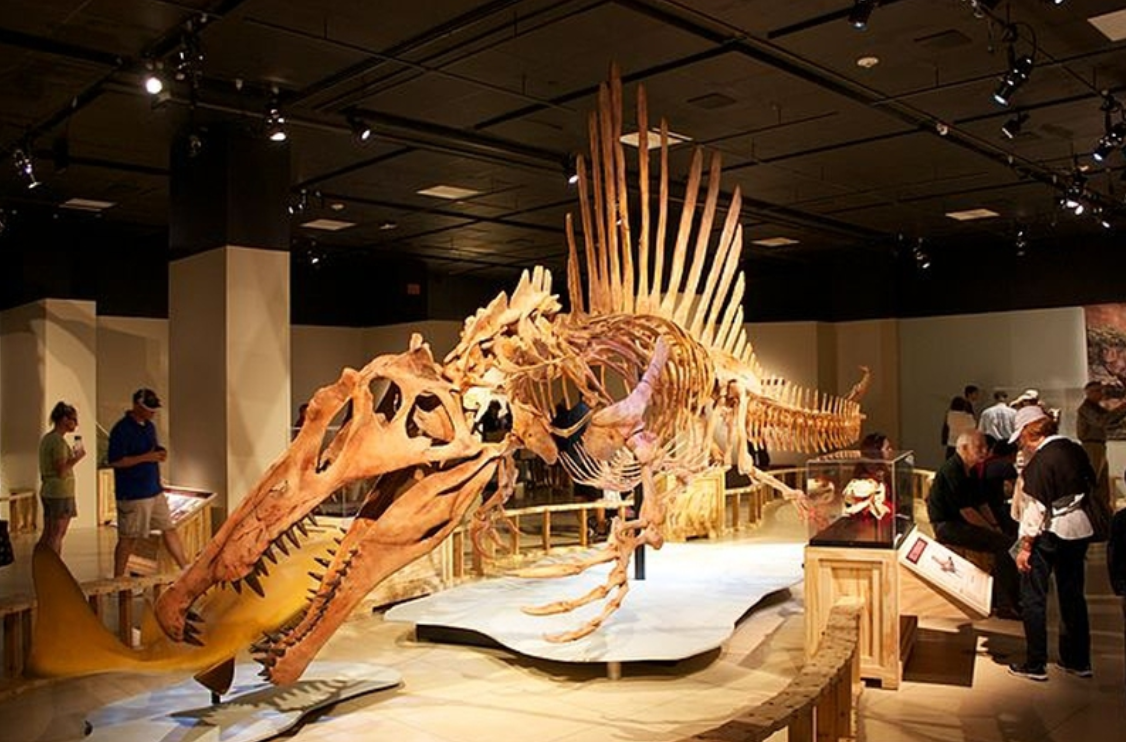 恐龙 历史上前八名，最恐怖的恐龙和最恐怖的史前动物