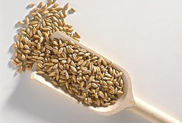 脾胃|消化内科专家:消食“冠军”是它,混着水一起吃,脾胃慢慢变强壮