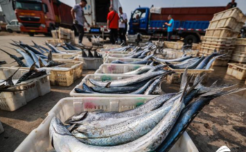 高血压|50岁男子因痛风入院，一月后肾衰竭离世，医生：1物嘌呤比猪肉高37倍