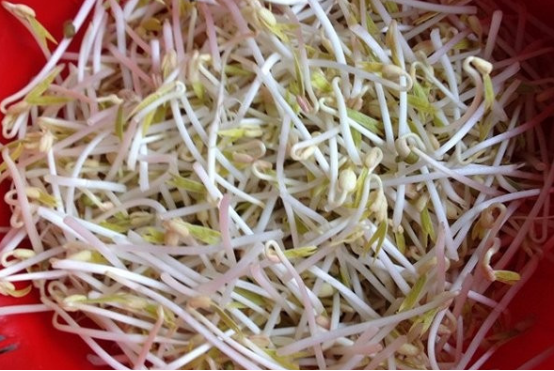 整形|肝毒“稀释剂”已公布,大蒜未上榜,常吃“1素”,肝脏红润如婴儿