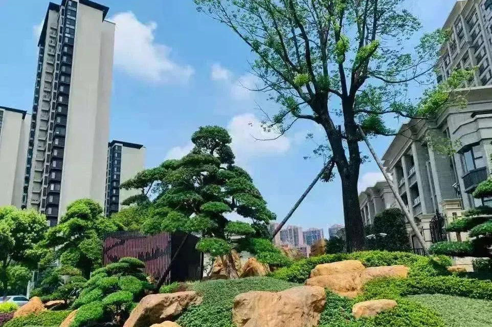 毛坯房|“观望”是下半年楼市的主基调，刚需此时买房最好