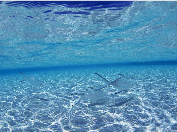 小谷阳|每个人生下来，都是有价值的，因为我们都是追梦者