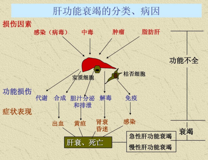 千金芳|肝不好不能吃鸡蛋？医生直言：不想肝脏“烂如蜂窝”，3种食物尽量少吃