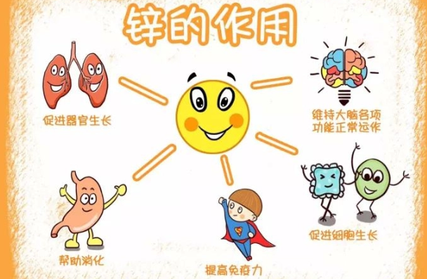 肠胃|多名院士倡议停食“3物”,比奶茶还伤发育,转告家人:及时撤下餐桌