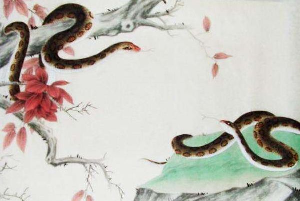 惊艳我年少时光|属相蛇：八月运势平平，安稳才是福气