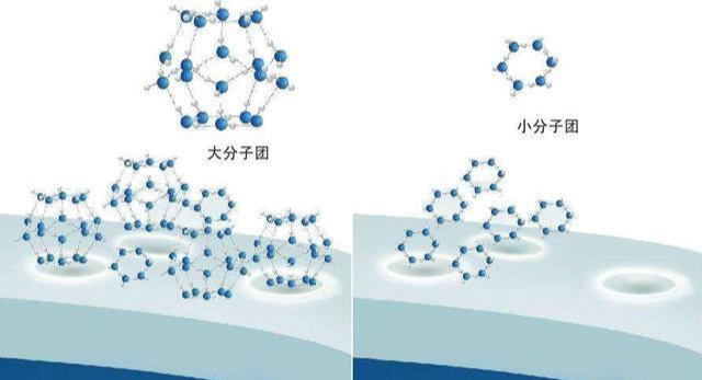 好物官|佟丽娅主持晚会状态好，除了主持功力，还应该夸夸她的好皮肤