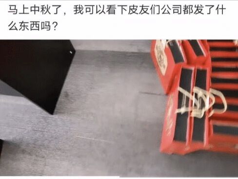 电视剧|中国电视剧的套路，你们看是不是这样？