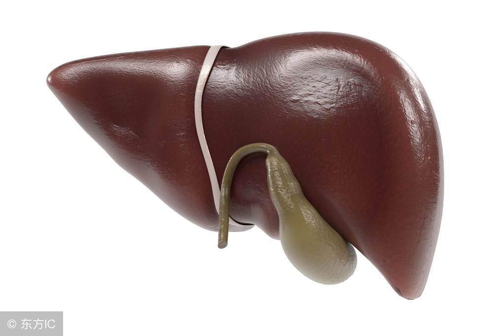 胆囊|胆囊长息肉就要切胆,为什么不先试试这样调理?