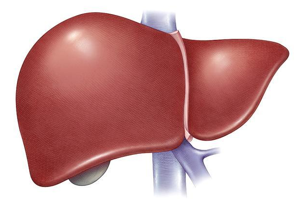 水果|“烂肝王”竟是两种“常见水果”，肝科主任：提醒父母，白给也别要