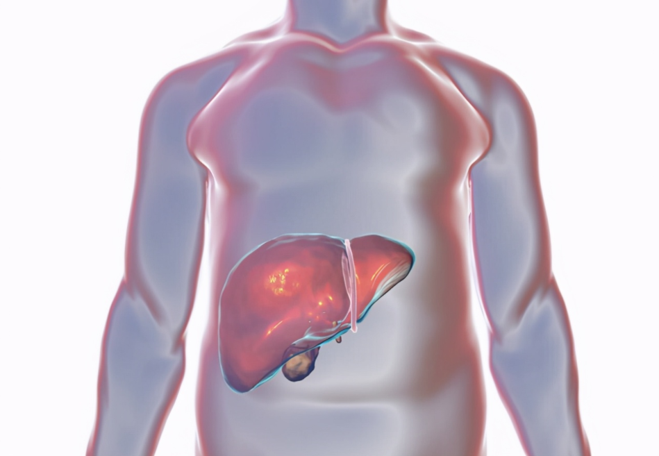 肝脏|吃1口等于3斤绿豆,呼吁:肝不好的人不妨常吃,肝脏会感激你的